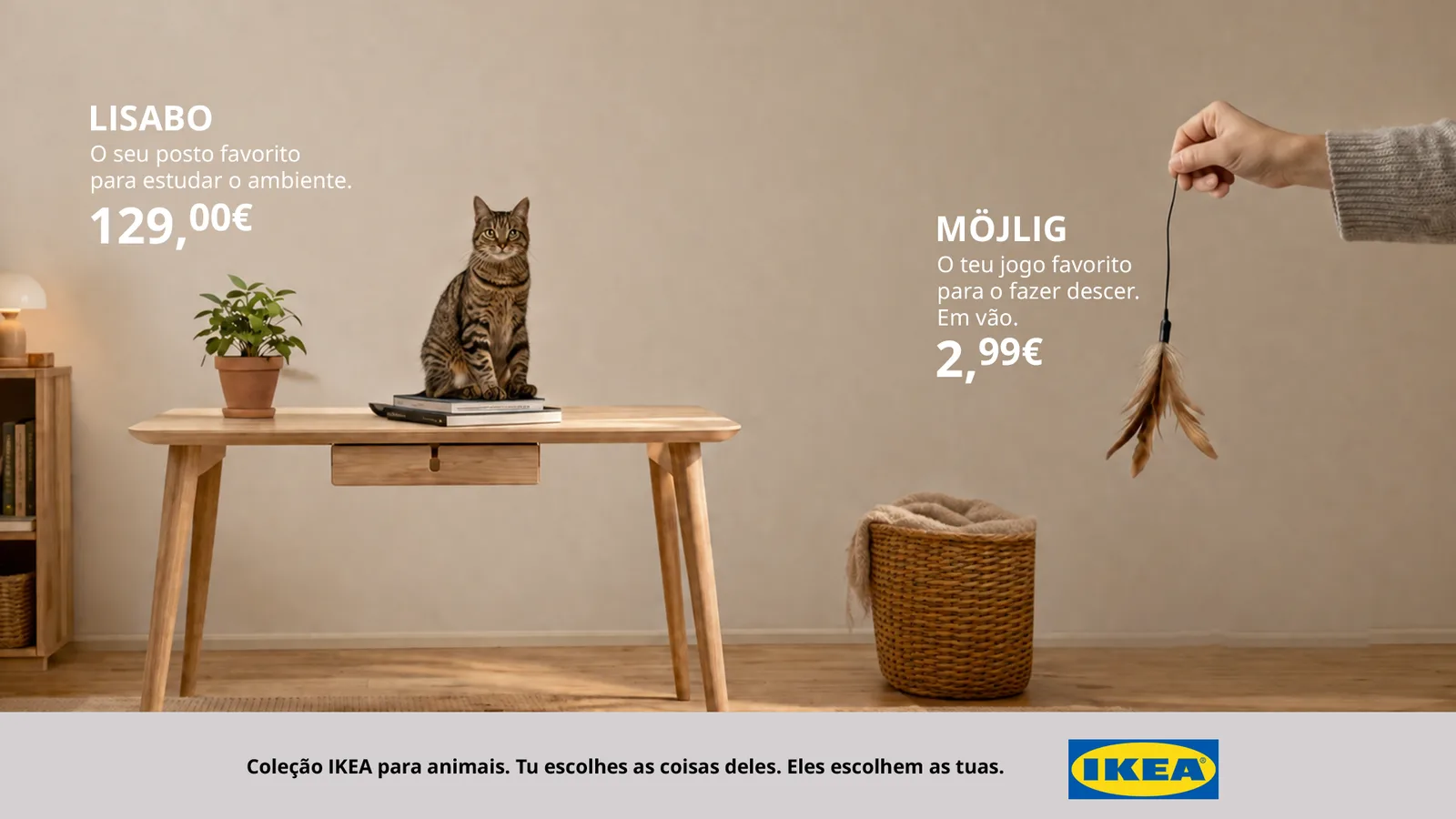 Coleção para animais